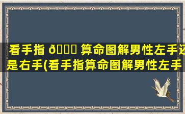 看手指 🍁 算命图解男性左手还是右手(看手指算命图解男性左手还是右手呢)
